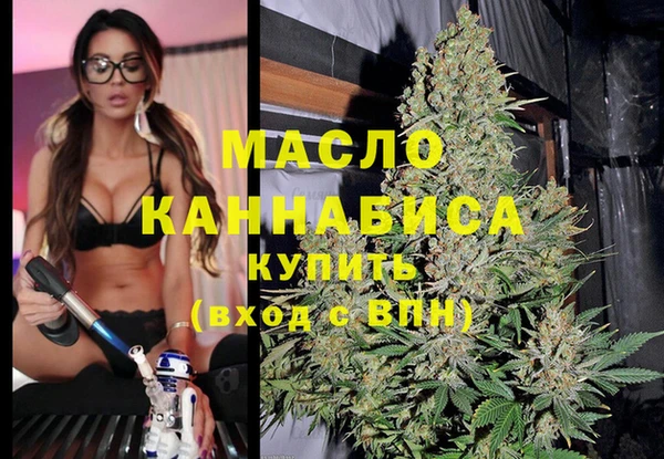 индика Армянск