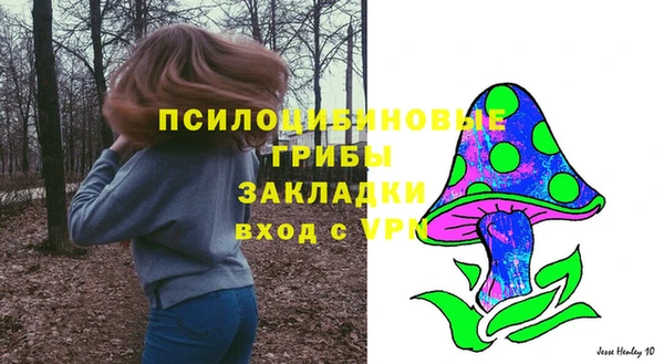 гидропоника Арсеньев