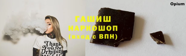 индика Армянск