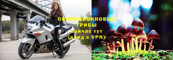 индика Армянск