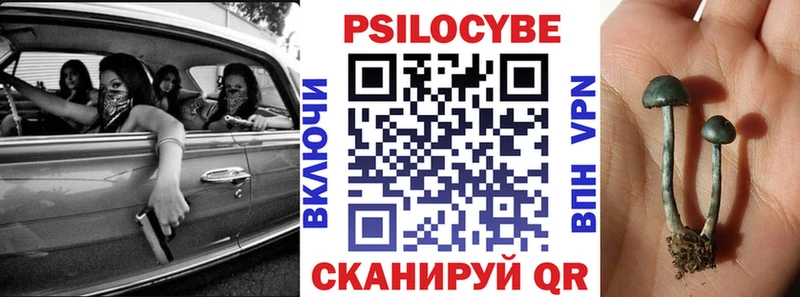 mega ССЫЛКА  Унеча  Галлюциногенные грибы мухоморы 